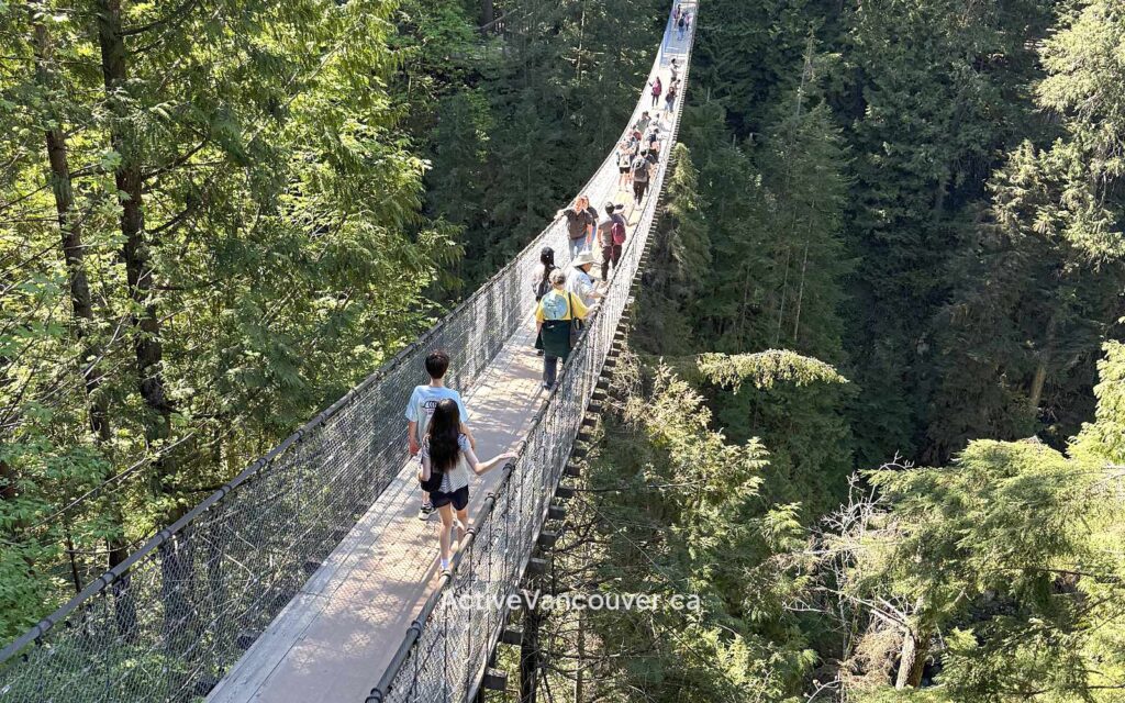 Capilano Suspension Bridge Park