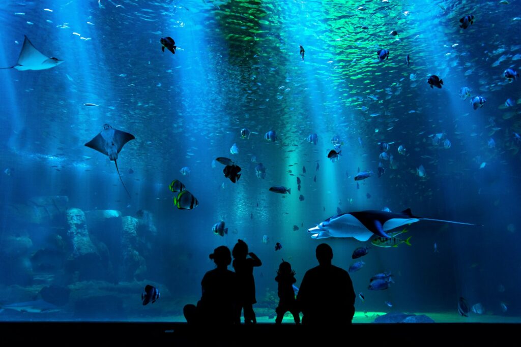 Vancouver Aquarium