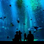 Vancouver Aquarium