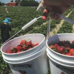 Emma Lea Farms