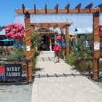 Krause Berry Farms & Estate Winery