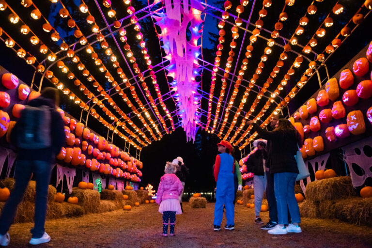 Best things to do in Vancouver in October 2025